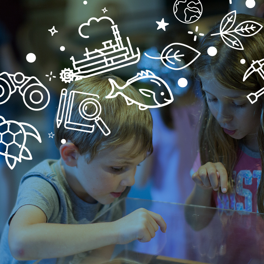 National Mississippi River Museum & Aquarium 